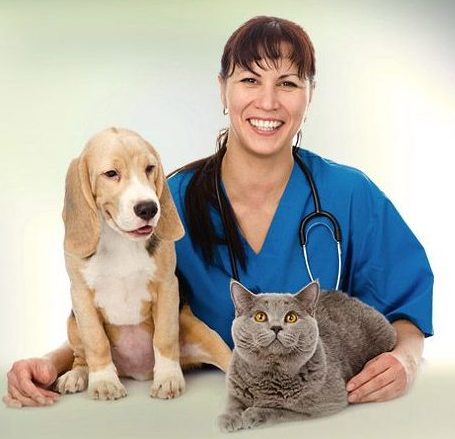 Everything You Need to Know About Neutering for Pets 1 e1694646016306