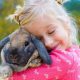 Love Bunnies Consider These Tips Before You Buy