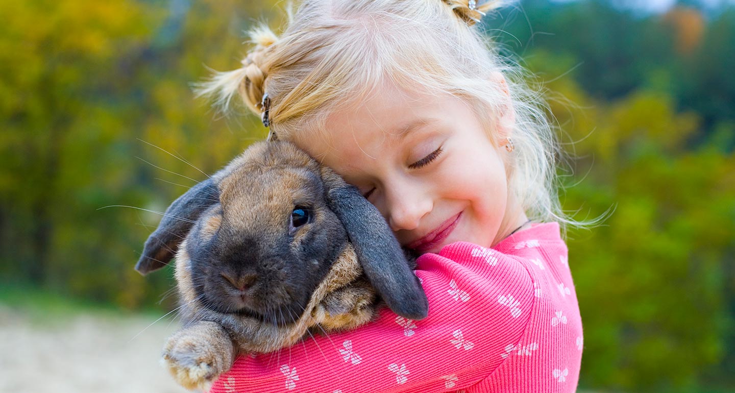 Love Bunnies Consider These Tips Before You Buy